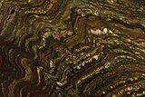 Polished Tiger Iron Stromatolite Slab - Billion Years #351977-2